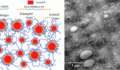 Shen, Liyang; Wang, Tung-ping; Goyal, Shailja; Torres, Sabrina; Robison, Thomas; Cochran, Eric W. “Easy-Processable and Aging-Free All-Polymer Polysiloxane Composites”. ACS Applied Polymer Materials, November 2020