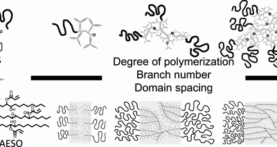Lin, Fang-Yi; Hohmann, Austin D.; Hernandez, Nacu; Shen, Liyang; Dietrich, Hannah; Cochran, Eric W. “Self-Assembly of Poly(styrene-block-acrylated epoxidized soybean oil) Star-Brush-Like Block Copolymers”. Macromolecules, 53(18), 8095–8107 August 2020