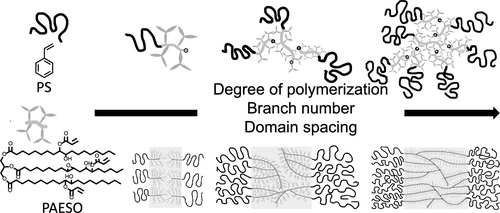 Lin, Fang-Yi; Hohmann, Austin D.; Hernandez, Nacu; Shen, Liyang; Dietrich, Hannah; Cochran, Eric W. “Self-Assembly of Poly(styrene-block-acrylated epoxidized soybean oil) Star-Brush-Like Block Copolymers”. Macromolecules, 53(18), 8095–8107 August 2020