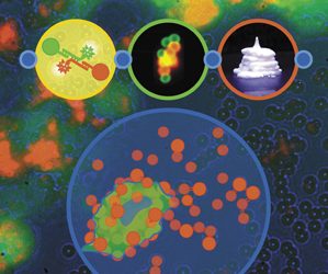 Peng, Haisheng; Poovaiah, Nitya; Forrester, Michael J.; Cochran, Eric W.; Wang, Qun. “Ex Vivo Culture of Primary Intestinal Stem Cells in Collagen Gels and Foams”. ACS Biomater. Sci. Eng., 1(1), 37–42 January 2015.