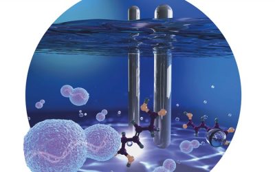 Suastegui, Miguel; Matthiesen, John E.; Carraher, Jack M.; Hernandez, Nacu; Rodriguez Quiroz, Natalia; Okerlund, Adam; Cochran, Eric W.; Shao, Zengyi; Tessonnier, Jean-Philippe. “Combining Metabolic Engineering and Electrocatalysis: Application to the Production of Polyamides from Sugar”. Angewandte Chemie International Edition, 55(7), 2368–2373 January 2016.