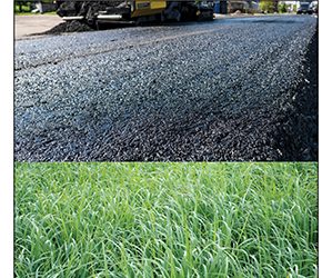 Hallmark, Brittany L.; Hernandez, Nacu. B.; Williams, R. Christopher; Cochran, Eric W. “Ground Tire Rubber Modification for Decreased Asphalt Separation”. ACS Energy and Fuels, 33(4), 2659–2664 January 2019.