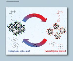 Lin, Fang-Yi; Yan, Mengguo; Cochran, Eric W. “Gelation Suppression in RAFT Polymerization”. Macromolecules, 52(18), 7005–7015 September 2019.