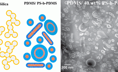 Shen, Liyang; Wang, Tung-ping; Lin, Fang-Yi; Torres, Sabrina; Robison, Thomas; Kalluru, Sri Harsha; Hernández, Nacú B.; Cochran, Eric W. “Polystyrene-block-Polydimethylsiloxane as a Potential Silica Substitute for Polysiloxane Reinforcement”. ACS Macro Letters, 9(6), 781–787 February 2020