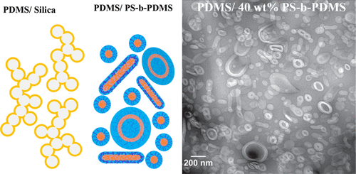 Shen, Liyang; Wang, Tung-ping; Lin, Fang-Yi; Torres, Sabrina; Robison, Thomas; Kalluru, Sri Harsha; Hernández, Nacú B.; Cochran, Eric W. “Polystyrene-block-Polydimethylsiloxane as a Potential Silica Substitute for Polysiloxane Reinforcement”. ACS Macro Letters, 9(6), 781–787 February 2020