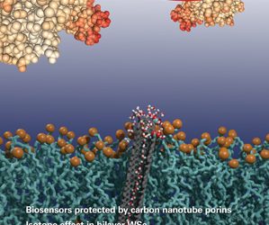 Liu, Fei; Goyal, Shailja; Forrester, Michael J.; Ma, Tao; Miller, Kyle; Zhou, Lin; Cochran, Eric W.; Jiang, Shan;. “Self-assembly of Janus Dumbbell Nanocrystals and Their Enhanced Surface Plasmon Resonance”. Nano Letters, 19(3), 1587–1594 January 2019.