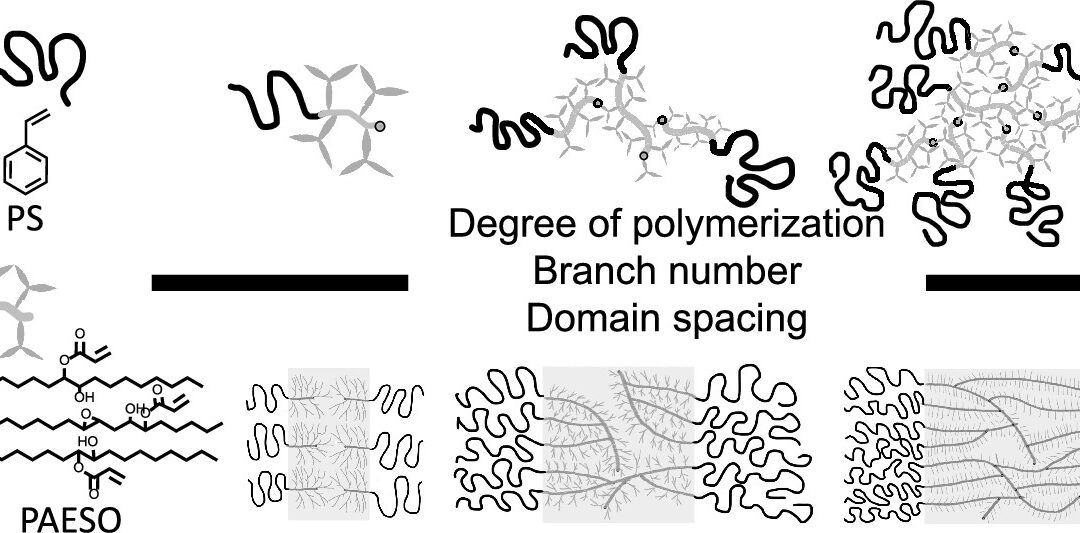 Published Work – Fang-Yi Lin: Macromolecules