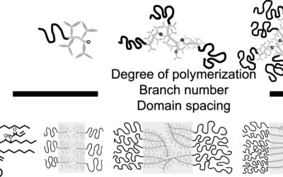 Published Work – Fang-Yi Lin: Macromolecules